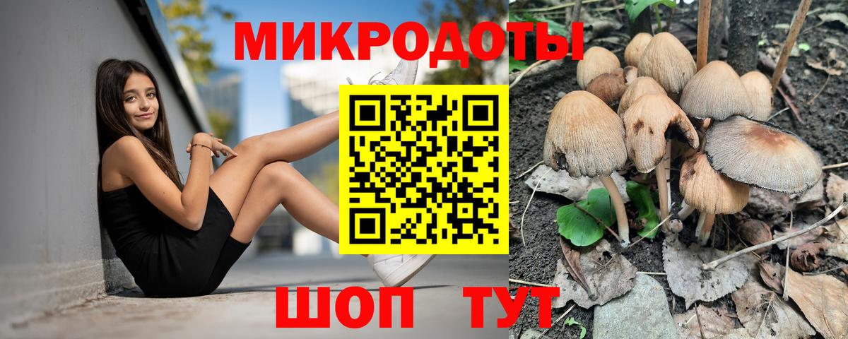 Волгодонск  Галлюциногенные грибы ЛСД  Вход с VPN 