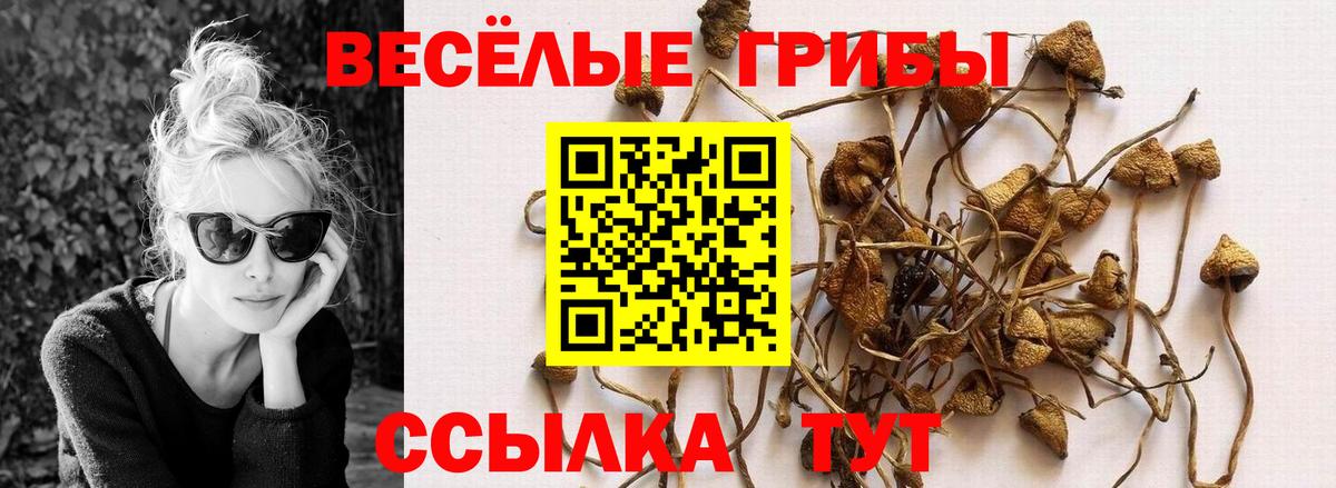 Псилоцибиновые грибы MAGIC MUSHROOMS Волгодонск
